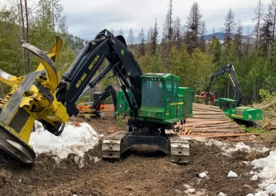 Skemxist Solutions Equipment Feller Buncher Processor and Hydraulic Log Loader Processing Timber