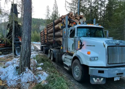 Skemxist Solutions Equipment Logging Truck Finished Getting Loaded by Power Clam Hydraulic Log Loader
