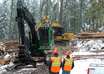 Skemxist Solutions - Forestry Services